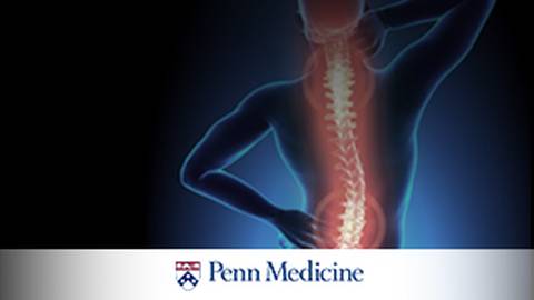 Neck and Back Pain: When Should You Refer Your Patients to a Neurosurgeon?