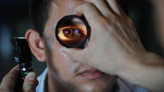 'The Focea': A Region of Improved Vision in Mice