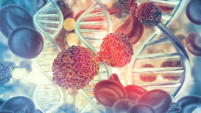 ReachMD Healthcare Image