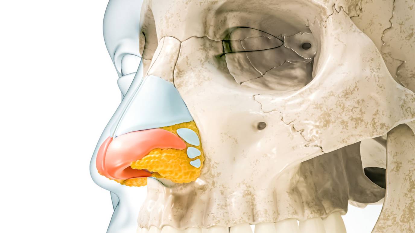 Classification and Reconstructive Options for Nasal Alar Defect in ...