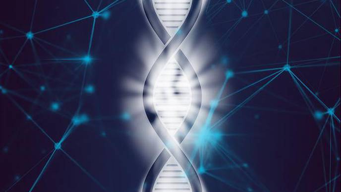Study Paves Way for Effective Monitoring of Chemotherapeutic Drug Level in Cancer Patients