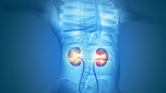 ReachMD Healthcare Image