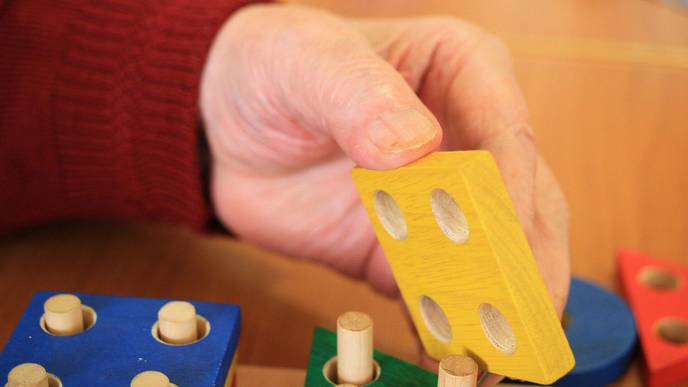 Fighting Dementia with Play: Cognitive Motor Training Improves Function
