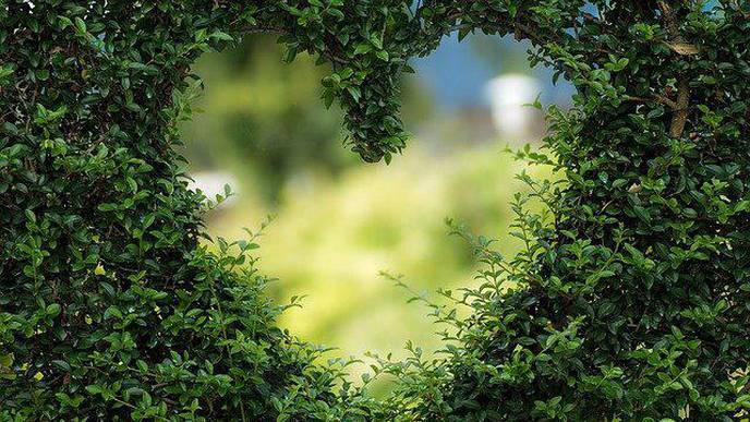 Heart-Healthy Lifestyles Linked to Lower Risk of Future Cancers