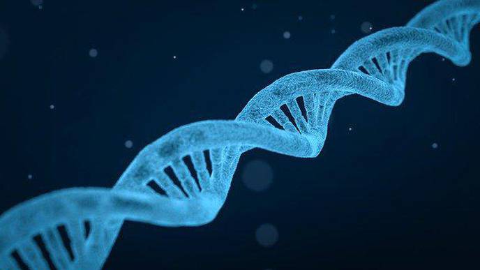 How the Macromolecular Structure of Transfer RNA Is Stabilized