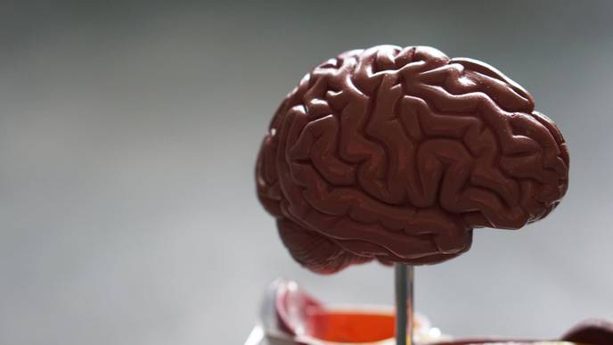 Study Links Brain Energy Deficits to Migraine Susceptibility