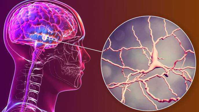 ReachMD Healthcare Image