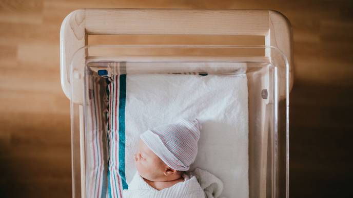 COVID Baby Boom or Bust?