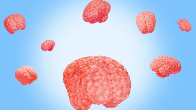 ReachMD Healthcare Image