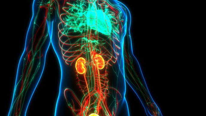 ReachMD Healthcare Image