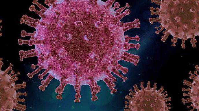 Llama Nanobodies Could Be a Powerful Weapon Against COVID-19