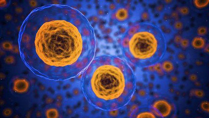 Single-Cell Analysis of Metastatic Gastric Cancer Finds Diverse Tumor Cell Populations Associated With Patient Outcomes