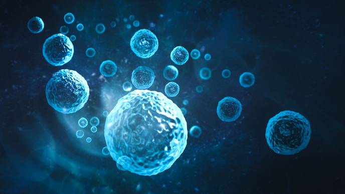 ReachMD Healthcare Image