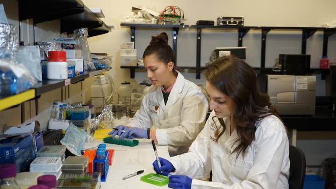 Bacteria Do Not Colonize the Gut Before Birth, Says Collaborative Study