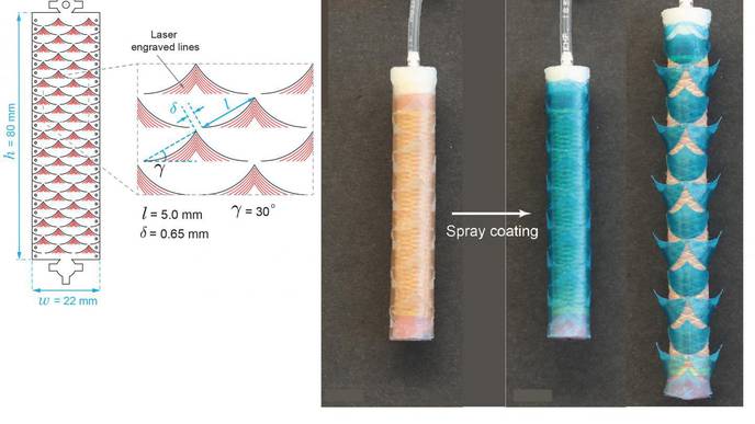 Stents Inspired by Paper-Cutting Art Can Deliver Drugs to the GI Tract
