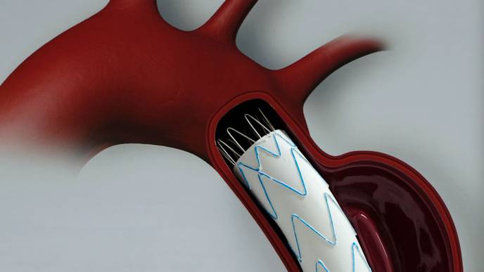 ReachMD Healthcare Image