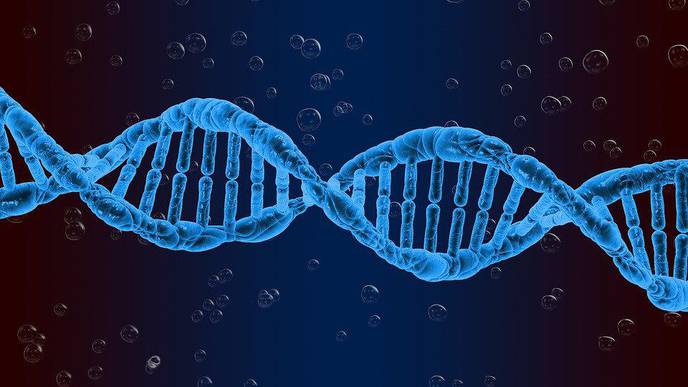 Spatial Mapping Method Pinpoints Potential New Therapeutic Targets in Lupus