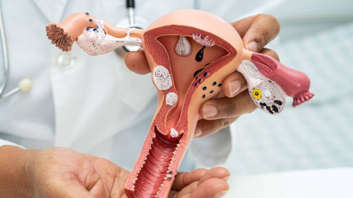 ReachMD Healthcare Image