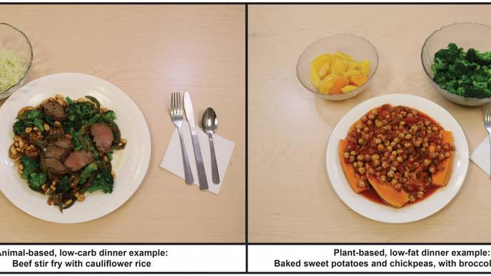 NIH Study Compares Low-Fat, Plant-Based Diet to Low-Carb, Animal-Based Diet