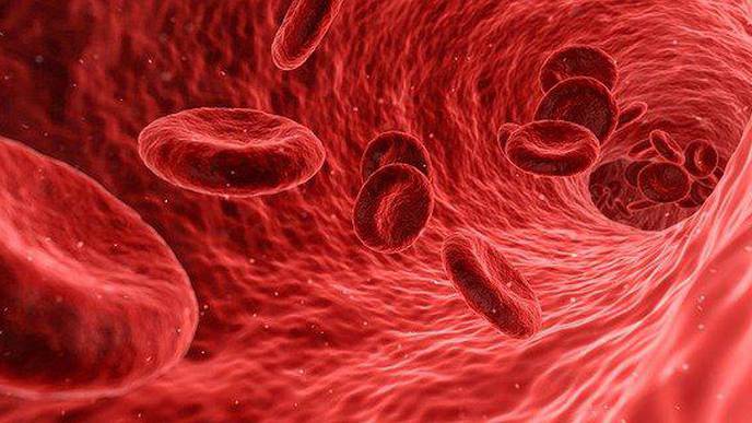High Blood Pressure Complications in US Pregnancies Have Nearly Doubled