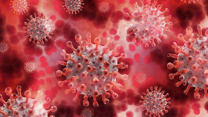 Feinberg Investigators Explore COVID-19 Treatments & Impact