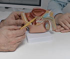 ReachMD Healthcare Image