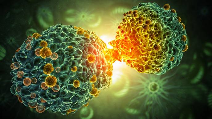 ReachMD Healthcare Image