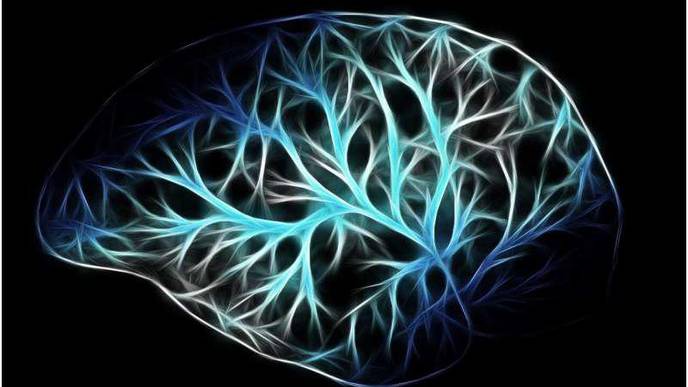 Scientists Identify Brain Cells Most Vulnerable to Alzheimer’s Disease
