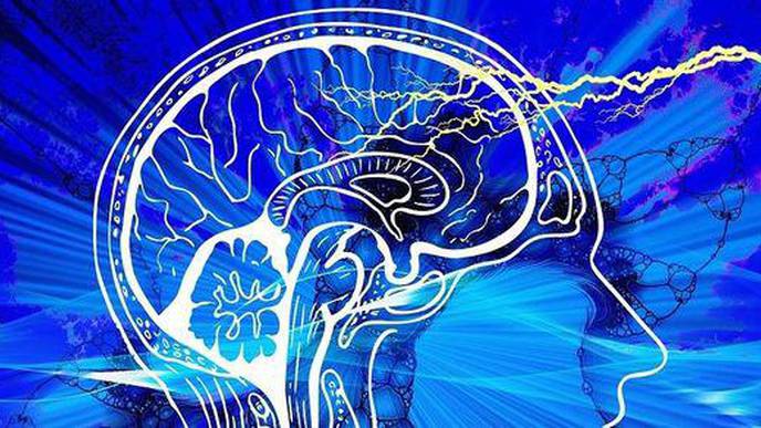 Brain Circuit Regulation May Help with Obesity