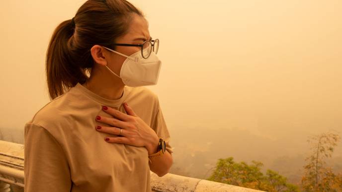 ReachMD Healthcare Image