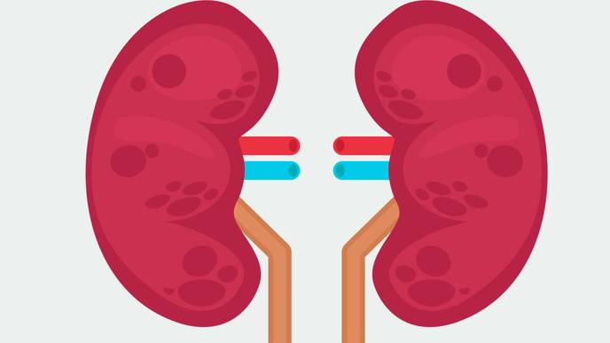 ReachMD Healthcare Image