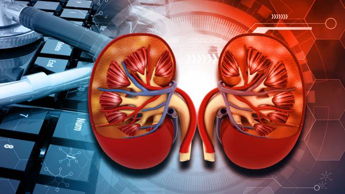 ReachMD Healthcare Image