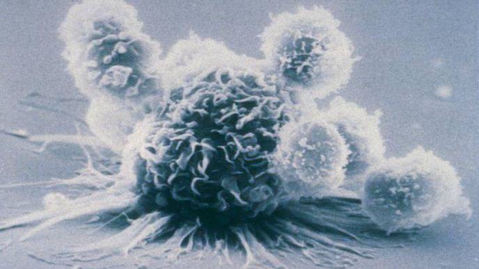 ReachMD Healthcare Image