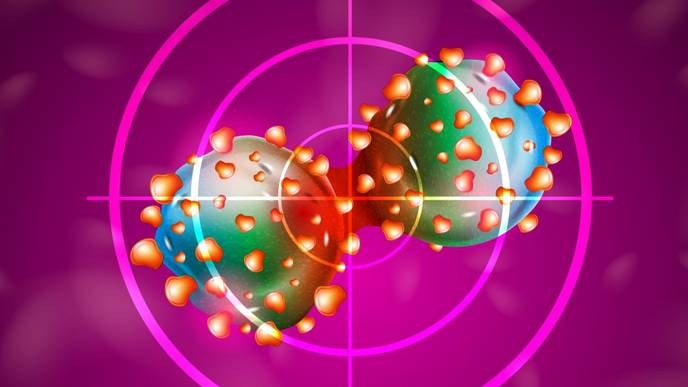 ReachMD Healthcare Image