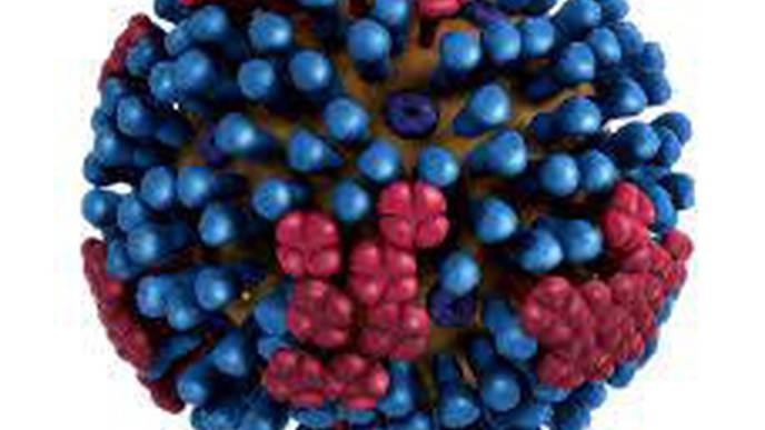 Fast-Spreading Mutation Helps Common Flu Subtype Escape Immune Response