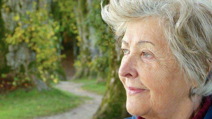 Bacterial Metabolism of Dietary Soy May Lower Risk Factor for Dementia