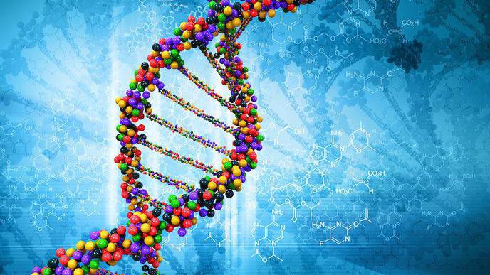 Evolution May Be to Blame for High Risk of Advanced Cancers in Humans