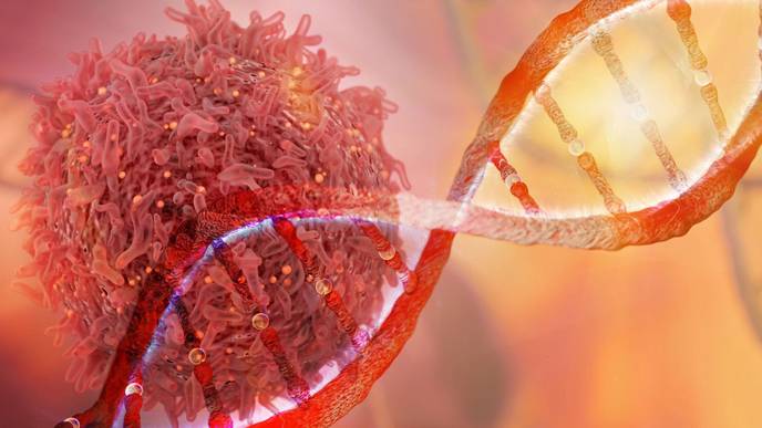 ReachMD Healthcare Image