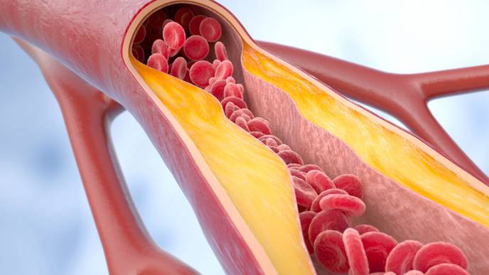 ReachMD Healthcare Image