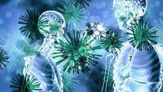 Immune Cell Implicated in Development of Lung Disease Following Viral Infection