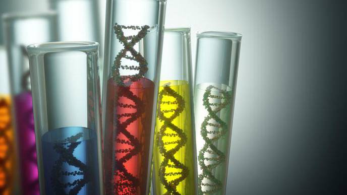 New Test for Rare Disease Identifies Children Who May Benefit from Simple Supplement
