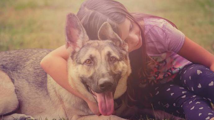 Loss of a Pet Can Potentially Trigger Mental Health Issues in Children