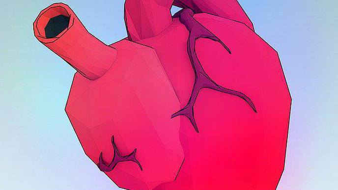 Women Undergo Less Aggressive Open Heart Surgery, Experience Worse Outcomes Than Men