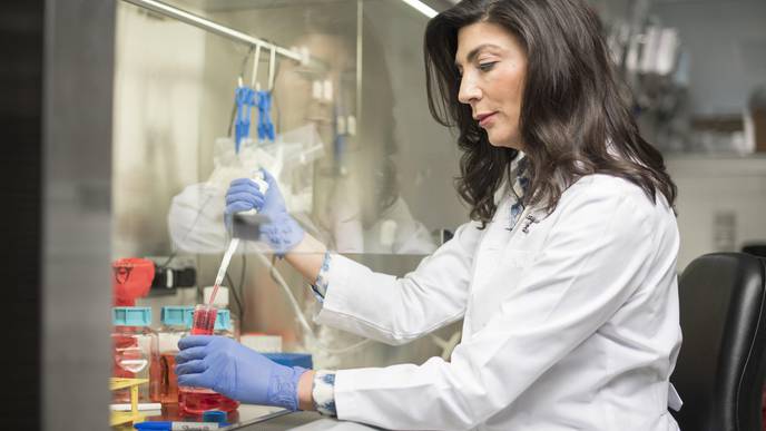 Antiviral T Cells Safe & Effective for Treating Debilitating Complication Common After Stem Cell Transplants