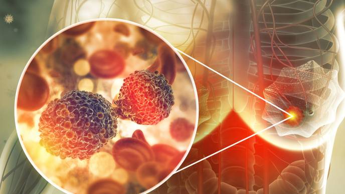 ReachMD Healthcare Image