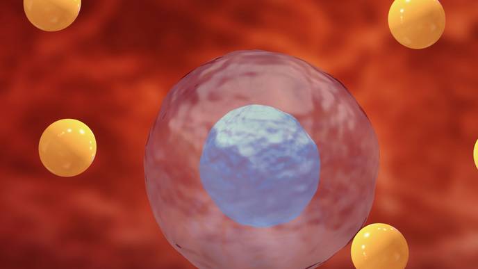 ReachMD Healthcare Image