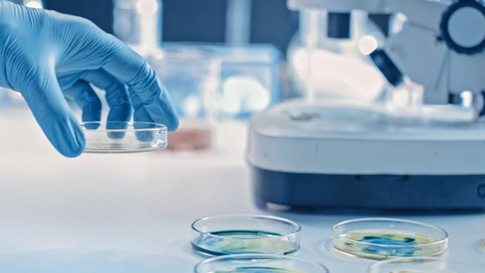 ReachMD Healthcare Image