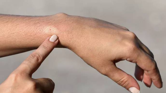 ReachMD Healthcare Image