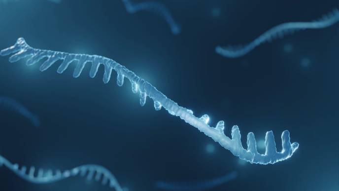 ReachMD Healthcare Image