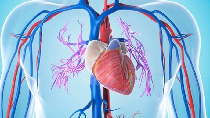 ReachMD Healthcare Image